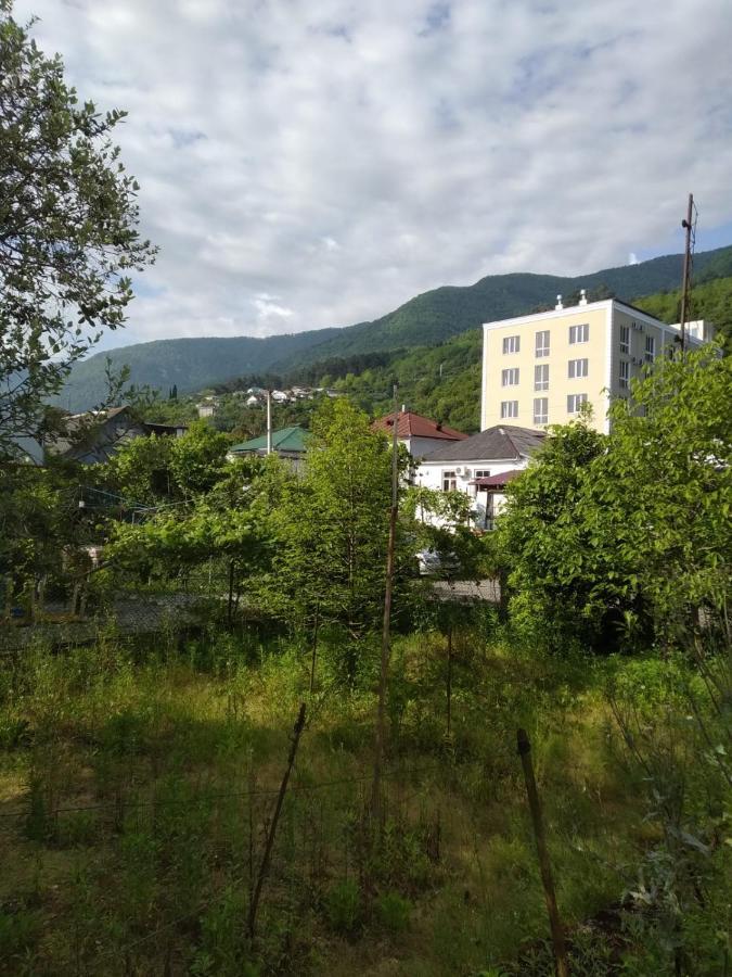 Na Shapsug Guest House Gagra Bagian luar foto
