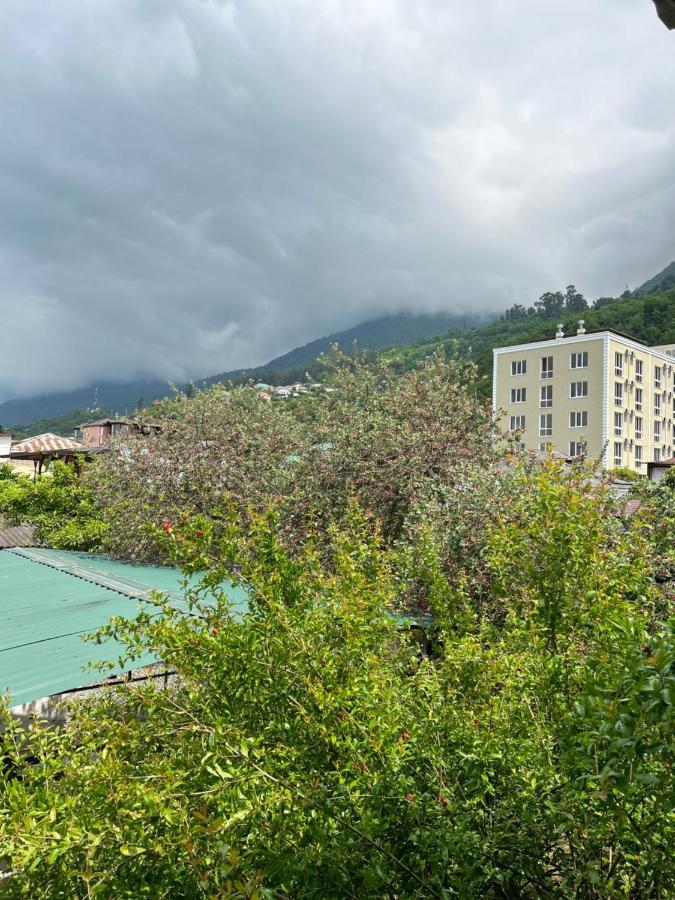 Na Shapsug Guest House Gagra Bagian luar foto
