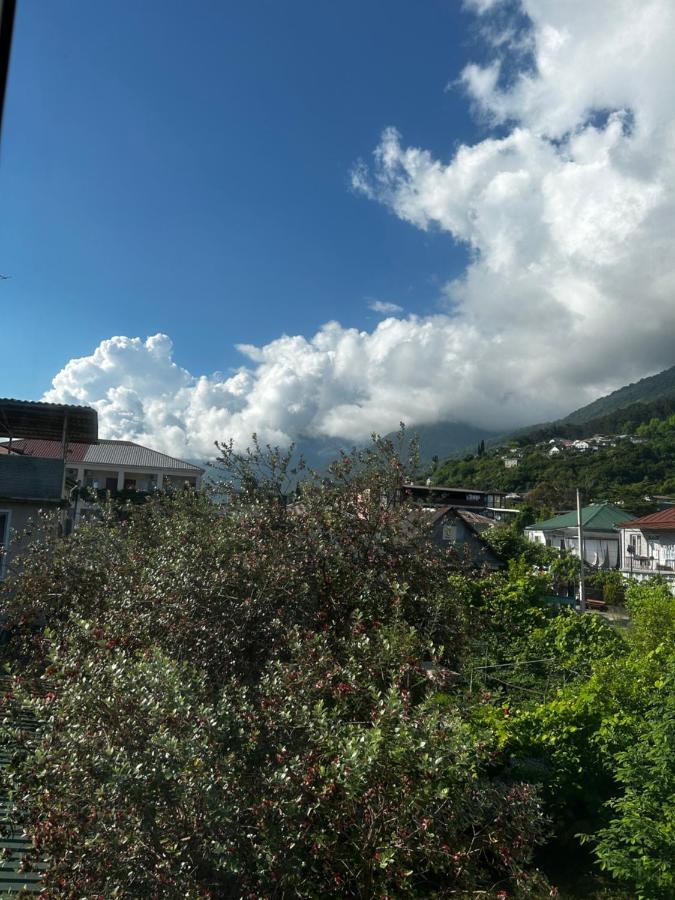 Na Shapsug Guest House Gagra Bagian luar foto