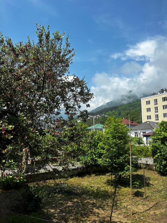 Na Shapsug Guest House Gagra Bagian luar foto